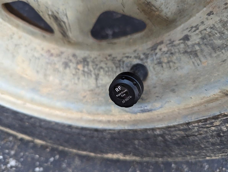 Maria Gonzalez, 32 – Miami, FL